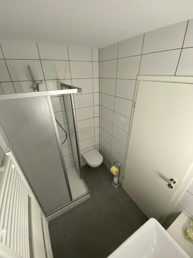 Babsi Appartments - Leben Am Land Wels Dış mekan fotoğraf